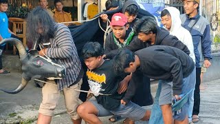 BANTENGAN DIWANGKARA ANDAKA SIDOMULYO BATU