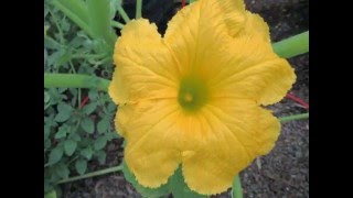 Early Spring 2016 Slideshow