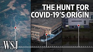 Wuhan Lab Hypothesis or Animal-Human Leap? The Hunt for Covid-19’s Origins | WSJ