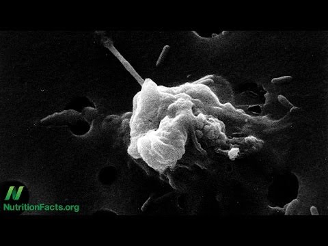 Turmeric Curcumin Reprogramming Cancer Cell Death