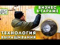 #5 Выращивание Шампиньонов | Проверяю камеру | Бизнес В Гараже