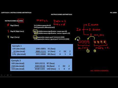 CURSO PIC16F84A LOS FLAGS EN LA SUMA CAPT 6 PARTE 1