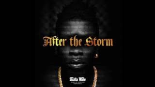 Shatta Wale -  Too Much Chemikal (Audio Slide)