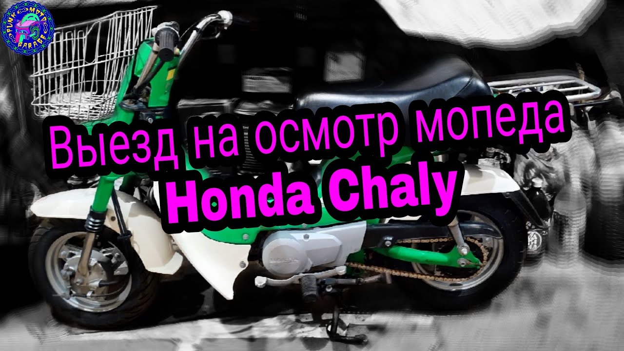 Выездной осмотр, перед покупкой РЕДКОГО МОПЕДА Honda Chaly - YouTube