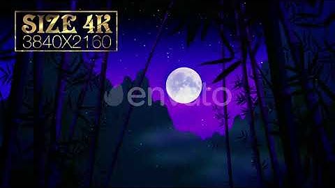 Bamboo Background 01 | Motion Graphics - Envato elements