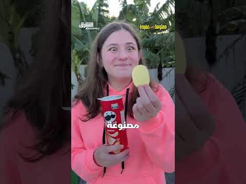 البرينجلز ليس مصنوعاً من البطاطا