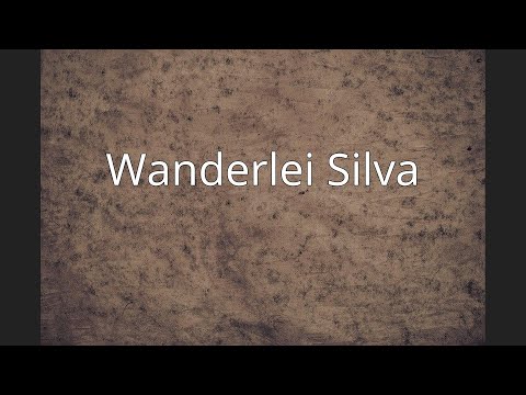 Video: Wanderlei Silva netoväärtus: Wiki, abielus, perekond, pulmad, palk, õed-vennad