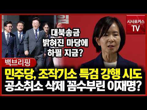 민주당, 조작기소 특검 강행 시도... 공소취소 조항 삭제 꼼수부린 이재명?