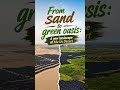 From sand to green oasis: A new landscape of Mu Us Desert