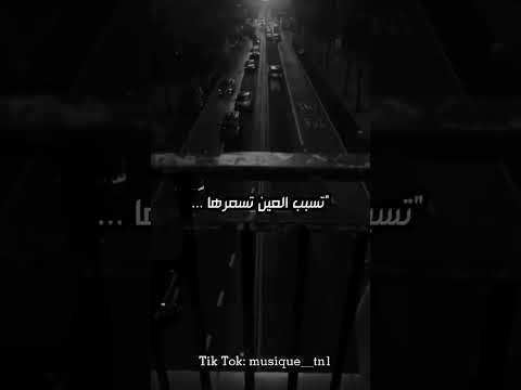 اغنية ويش خطرها حالات واتس اب ستوريات انستا