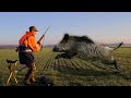 TOP 5 Charge D'un Sanglier 2021 - Wild Boar Attacks