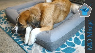 Review: The Casper Dog Bed is Stylish, Durable, & Comfortable