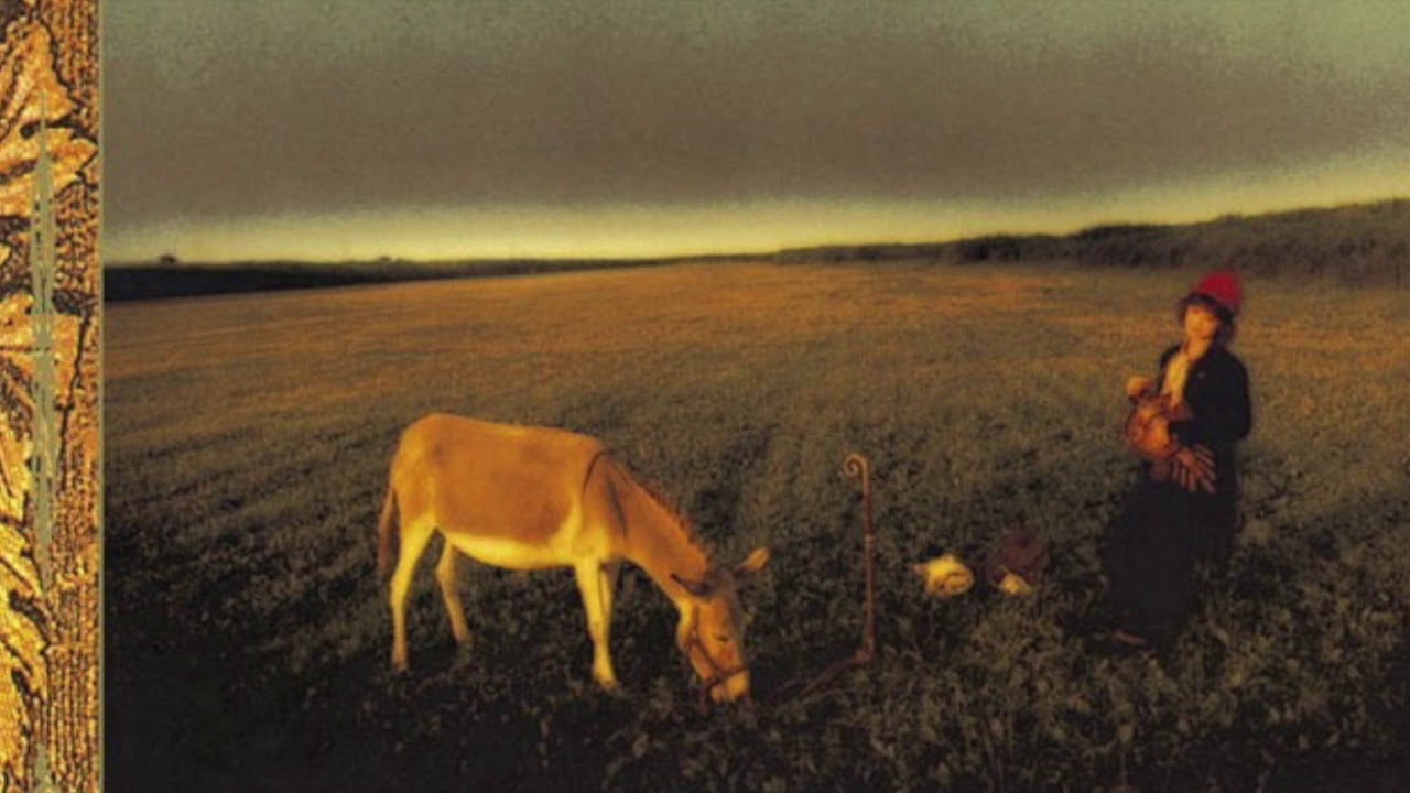 遊佐未森「夢をみた＋野の花」