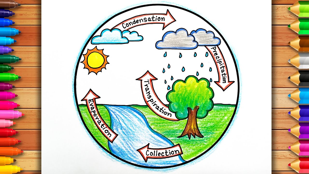 The Water Cycle Diagram: Printable Classroom Poster, Earth Science  Homeschool Décor - Etsy