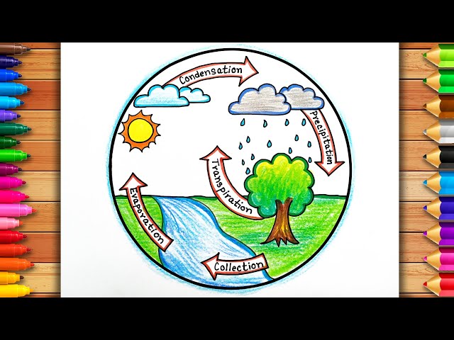 Water cycle Free Stock Vectors