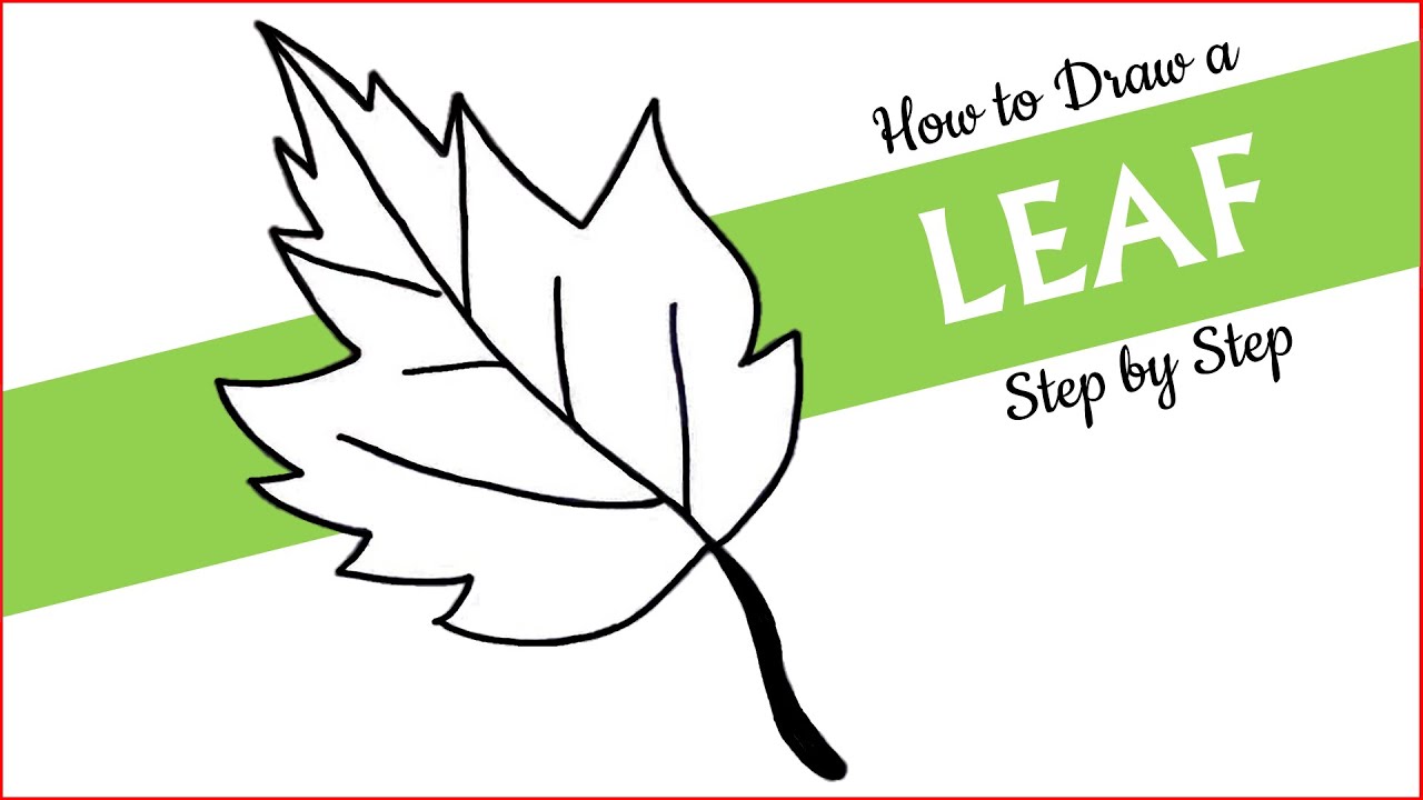 How to Draw a Maple Leaf Step by Step | 3D Leaves | Easy Leaf Drawing ...