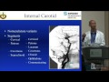 Neuroangiographic Anatomy - Yince Loh, MD, FNCS