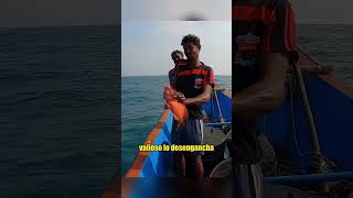 My Buddy Got Bitten By A One-Meter-Long Fish.