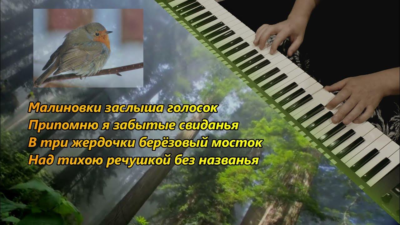 Слова малиновки заслышав голосок. Слова песни малиновка. Слова малиновки заслышав голосок. Малиновки заслышав голосок слова. Текст песни малиновка текст песни.