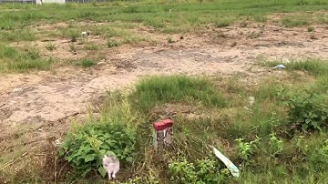 Đất nền rẻ nhất Cần Thơ 300 triệu thổ cư sổ sẳn sang tên trong ngày Lh: 0877637495 Cần Thơ Long An