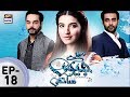 Mere Jeevan Sathi Episode 18 - ARY Digital Drama