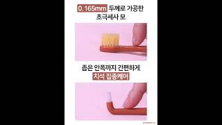 강아지 양치질 중요성 #shorts