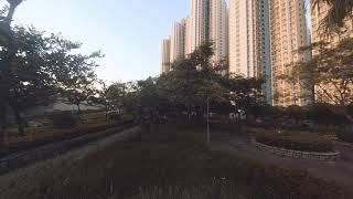 Flosstyle 4K (10-10-2020)