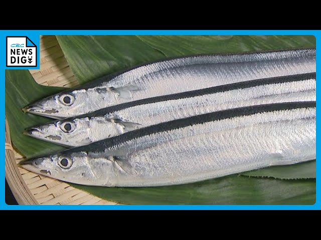 sddefault.jpg sddefault.jpg