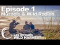 Survivorman | Les Stroud's Wild Harvest | Season 1 | Episode 1 | Mussels & Wild Radish | Les Stroud