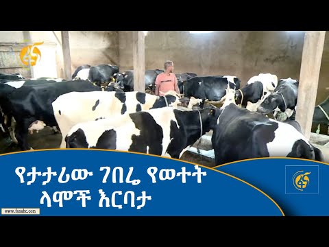 ቪዲዮ: የመስመር እርባታ ምንድነው?