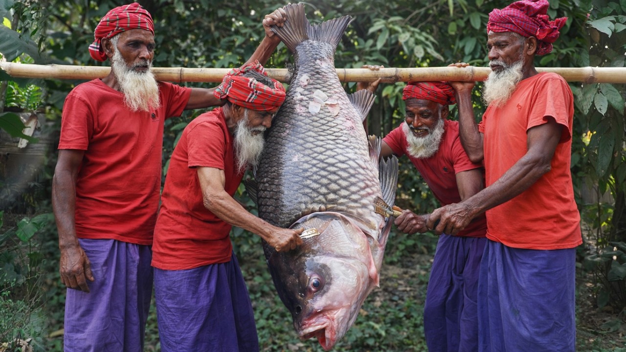 20 KG Katol Fish Cooking & Food Distribution | ২০ কেজি বিশাল কাতল মাছ! দাদাদের মানবিক রান্না❤️