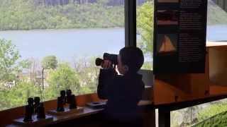 Junior Docent Overview
