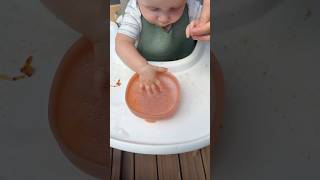 Download Lagu No more fighting clean up #baby #mess #messy #momhack #hack #blw #newmom #parenting MP3 Download Lagu No more fighting clean up #baby #mess #messy #momhack #hack #blw #newmom #parenting MP3