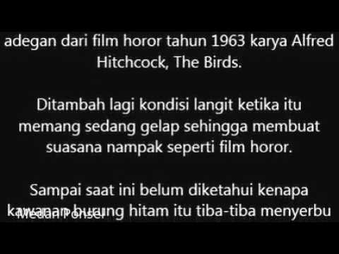 Video: Sekawanan Besar Burung Hitam Menyerang Mobil Di Jalan Raya Di Texas - Pandangan Alternatif