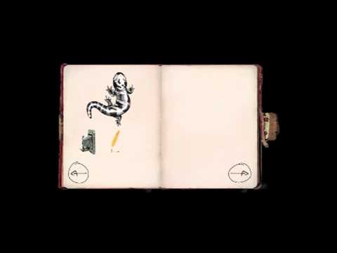 Twig video example