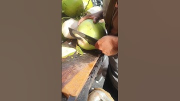 Testing the Best Machetes for Opening Coconuts