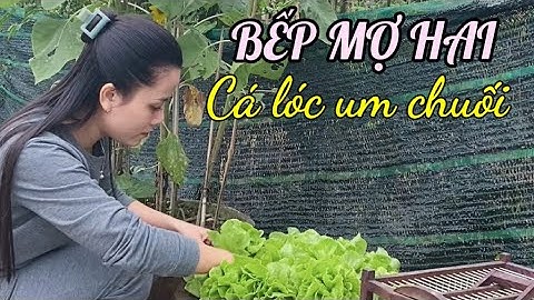 Cá lóc um chuối (snakehead fish cooked with banana) | BẾP MỢ HAI