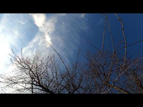 2020-03-10 Cloud Hyperlapse 4K