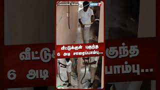 6 NEWS7 TAMIL