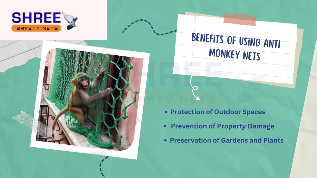 Anti Monkey Net in Chennai