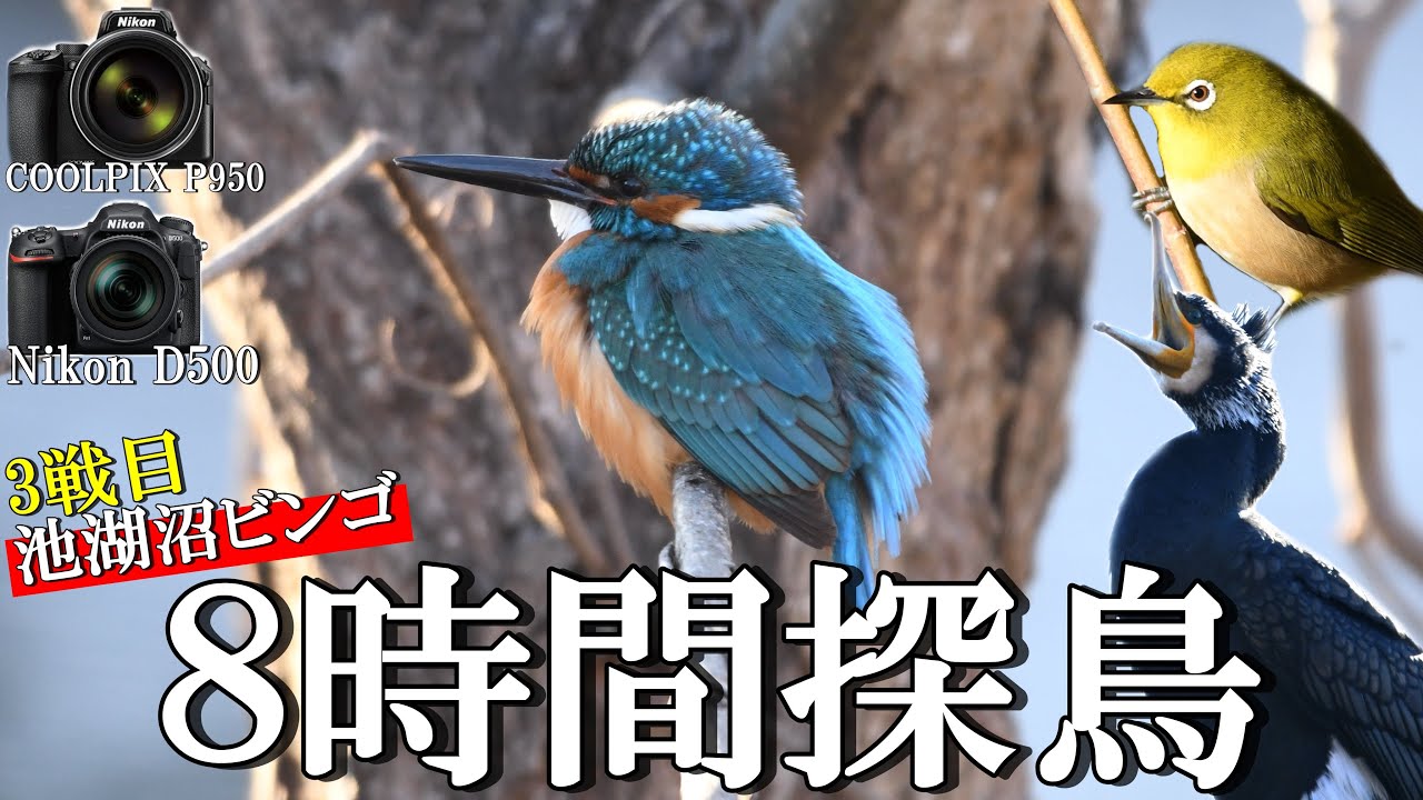 デジタルカメラ 花・鳥・月撮影 デジタルカメラマガジン2025年5月号 - インプレスブックス