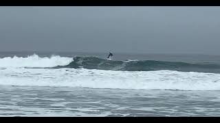 Dolphin playing in San Diego surf ! by Marc Cuniberti 25 views 1 year ago 18 seconds