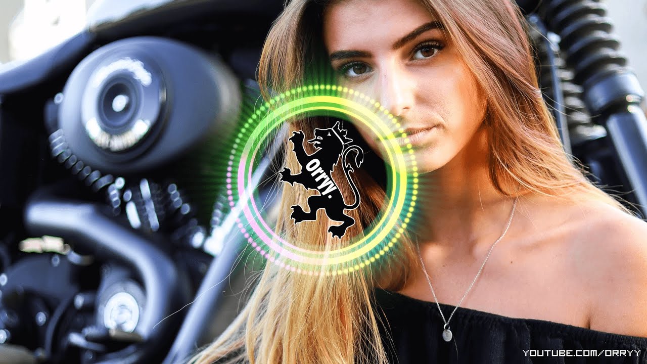 Shugz - Sweet Disposition | Orryy