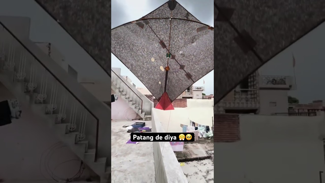 Patang de diya😤😱#viralvideo #kite #dillikiteclub #kiteflying #subscribe #monokitefighter #kite 🥺
