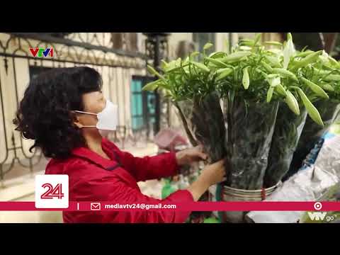 Video Hoa loa kèn tinh khôi gọi tháng 4 về trên phố Hà Nội |... - youtube