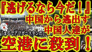 【『まるでカブール空港だ！』中国を逃げ出したい中国人が空港に大殺到！】『バイデンが中国人の留学規制を緩和したぞ！今だ！今しかない！』米国行きの航空券が約170万円に超高騰！『中国共産党が支配する国に未