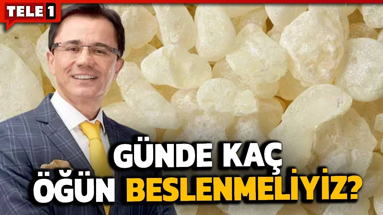 ender sara l carnitine Ya yakmak ve #spor da kaslar desteklemek iin #lcarnitine ve #zerdeal ( ierdii #turmeron ile )nemli.Hadi bi gayret spora #yry e Saat 11:15' de @haberturktv de #endersaraclaiyiyasam da bulualm  #spor #pazar formula 7 zayflama hap -