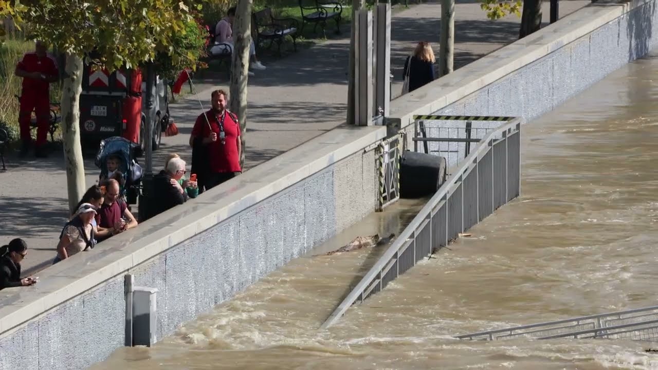 2024 09 18   Bratislava, Dunaj 980cm