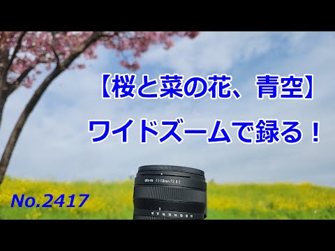 egg photo360panoramiclens ワンショットパノラマレンズ Lensbaby、「強烈なデフォルメ表現」を楽しめる全周魚眼レンズ