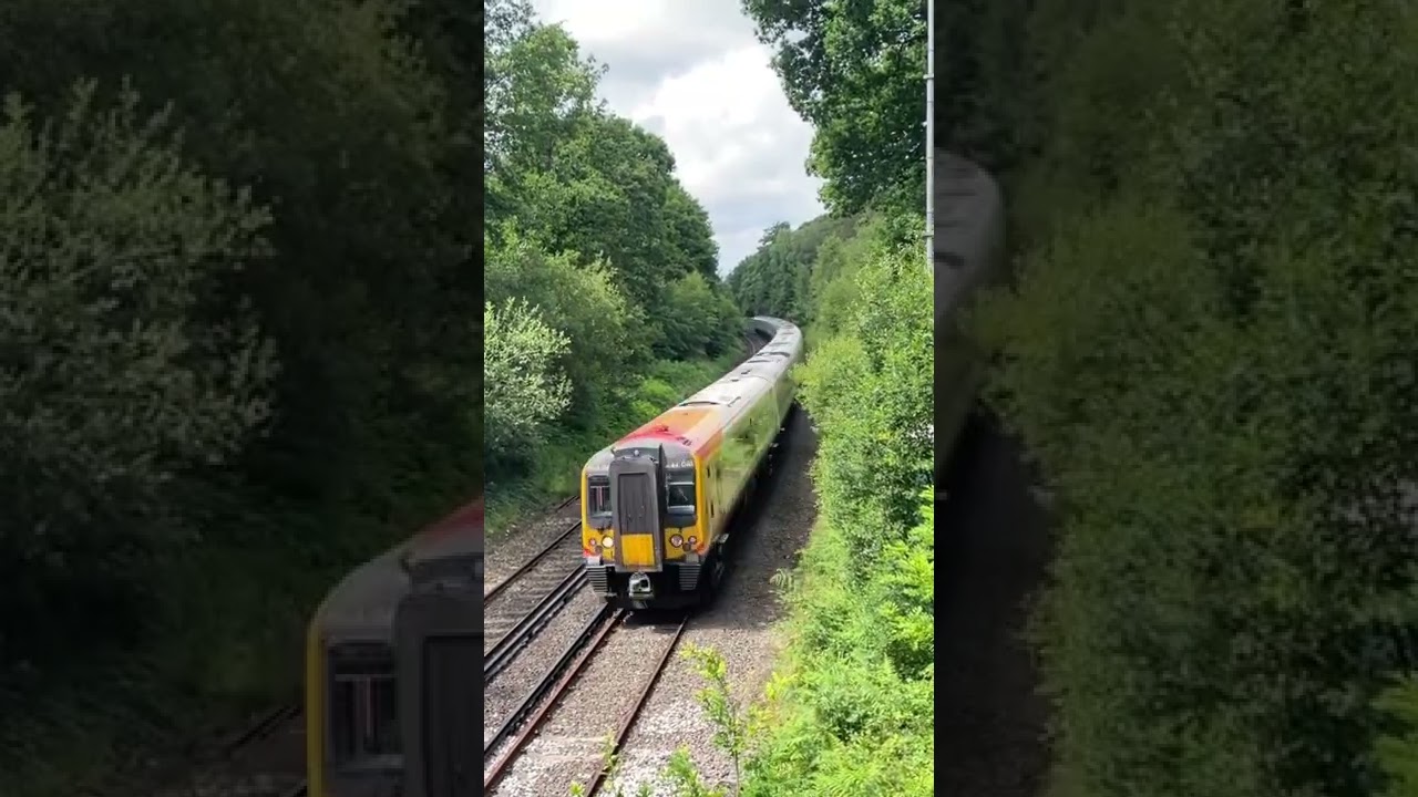 Class 444 round a bend in the new forest 